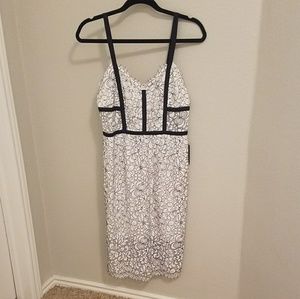NWT Express dress